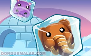 Ice Blocks